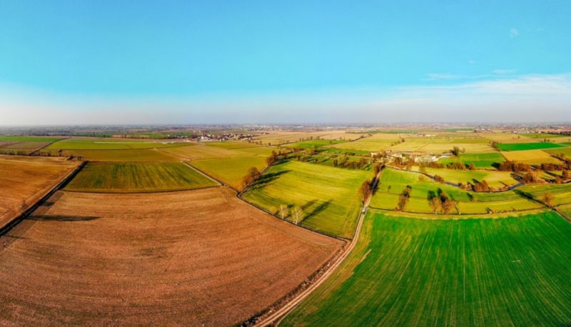Zdjęcie poglądowe - Foto: Pixabay.com / Pixabay License