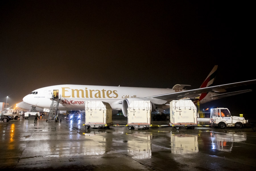 Transport koni na pokładzie samolotu Boeing 777 Emirates - Foto: Emirates