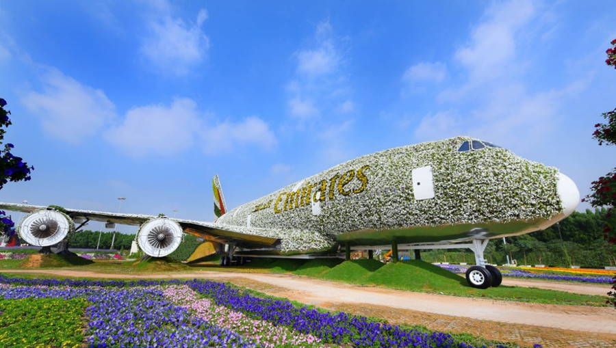 emirates kwiaty