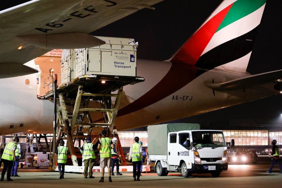 Linie Emirates SkyCargo planują zaledwie 8 lotów, aby na pokładzie nowoczesnego i wydajnego samolotu towarowego Boeing 777, który może przewozić około 100 ton ładunku podczas jednego lotu, przewieŹć 247 koni. - Foto: Emirates
